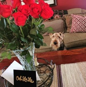 Meet your Posher, Aretha