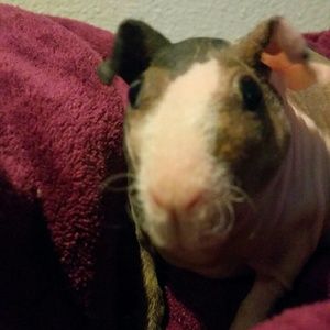 Meet your Posher, Carla