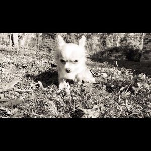 Meet your Posher, Mya