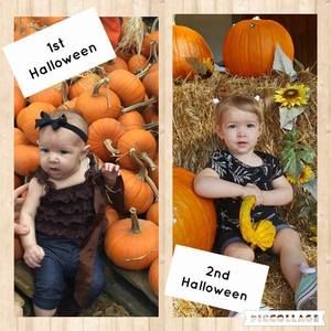 Meet your Posher, Tara