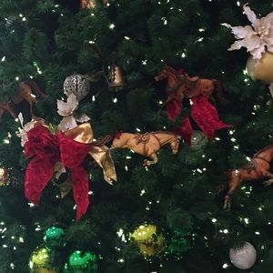 Meet your Posher, Deborah