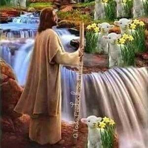 Meet your Posher, Javier