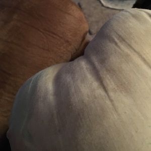 Meet your Posher, Sierra