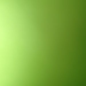 Meet your Posher, Maggie