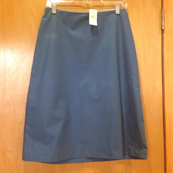 BANANA REPUBLIC Mid-Length Skirt, Cobalt & Arctic - Picture 1 of 4