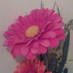 Meet your Posher, Aniceto