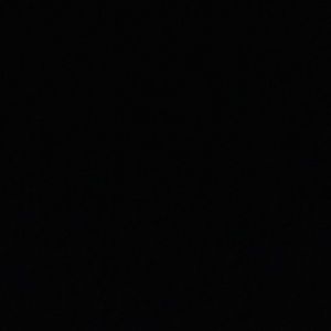 Meet your Posher, Mia