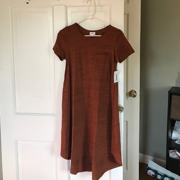 Lularoe Carley brand spanking new!