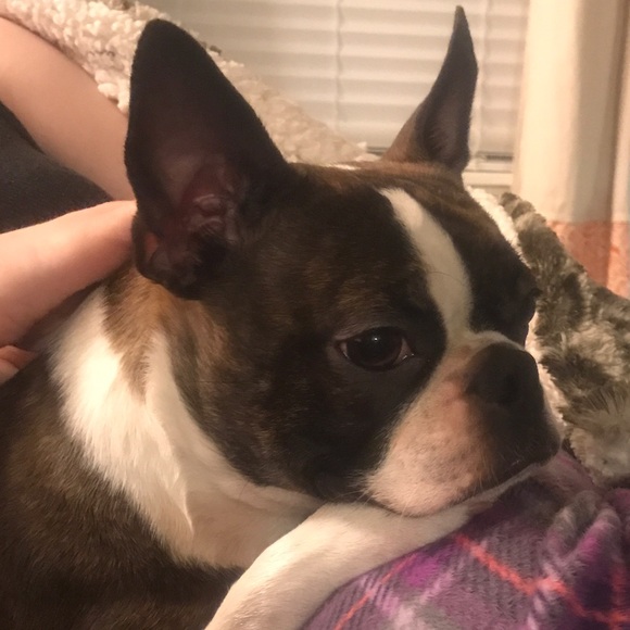 Meet your Posher, Mindi - Picture 1 of 1