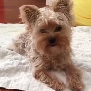 Meet your Posher, Jillian