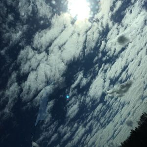 Meet your Posher, Riley