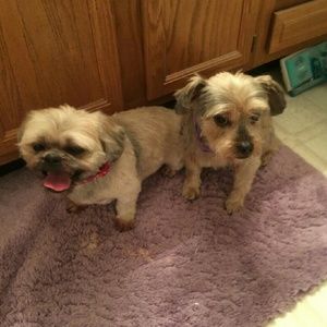 Meet your Posher, Mary