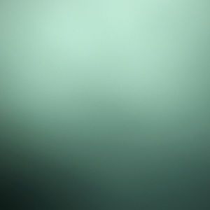 Meet your Posher, Jane