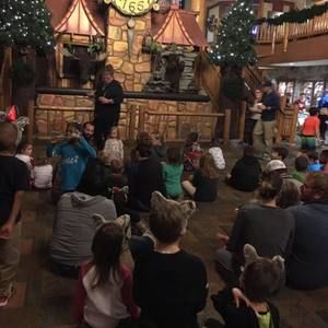 Meet your Posher, Angie