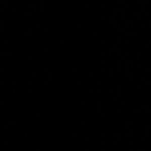 Meet your Posher, Mikayla