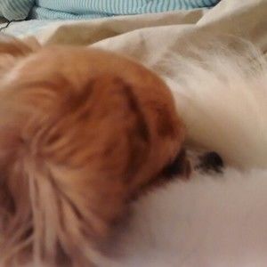 Meet your Posher, Jerri