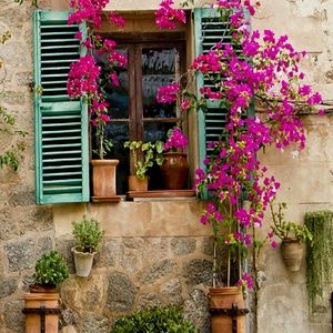 Meet your Posher, Mary