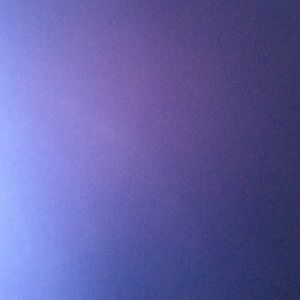 Meet your Posher, Nora