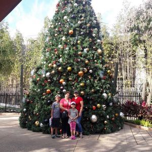 Meet your Posher, Olga patricia