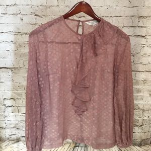 🌷Trina Turk Sheer Dotted Blouse Size S