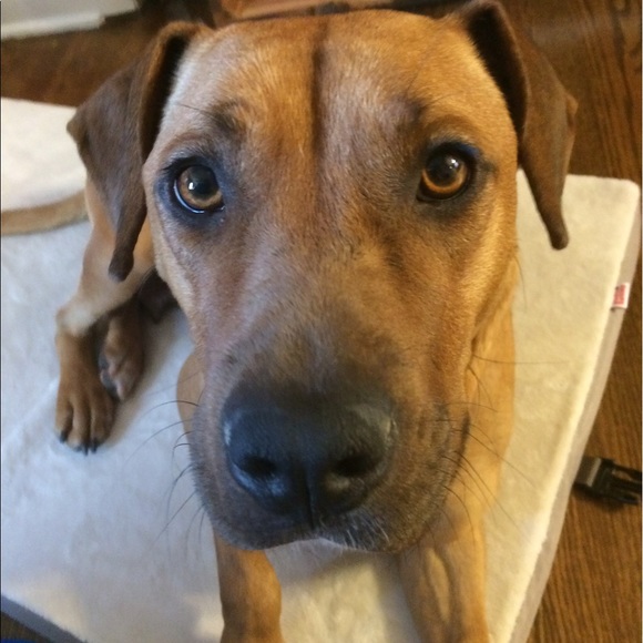 I’m Jade! I buy & sell. I reduce, reuse & recycle. - Picture 2 of 4