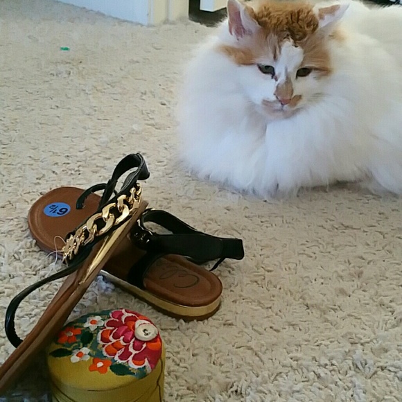 Sandals - Picture 2 of 4