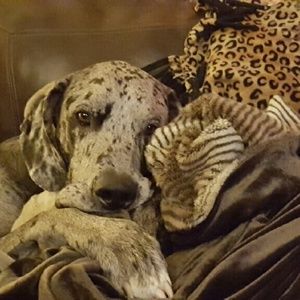 Meet your Posher, Julie