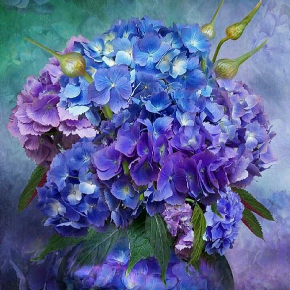 Meet your Posher, Esmeralda