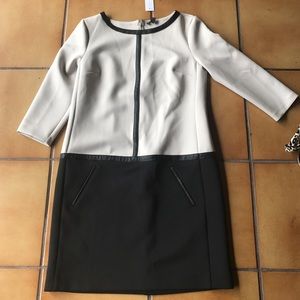 Ann Taylor dress brand new