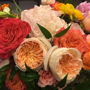 Meet your Posher, Maria