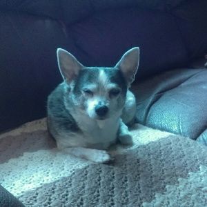 Meet your Posher, Nancy