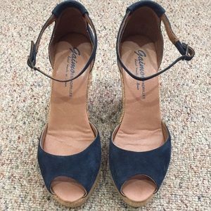 Suede Navy Blue Wedges
