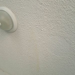 Meet your Posher, Nelson