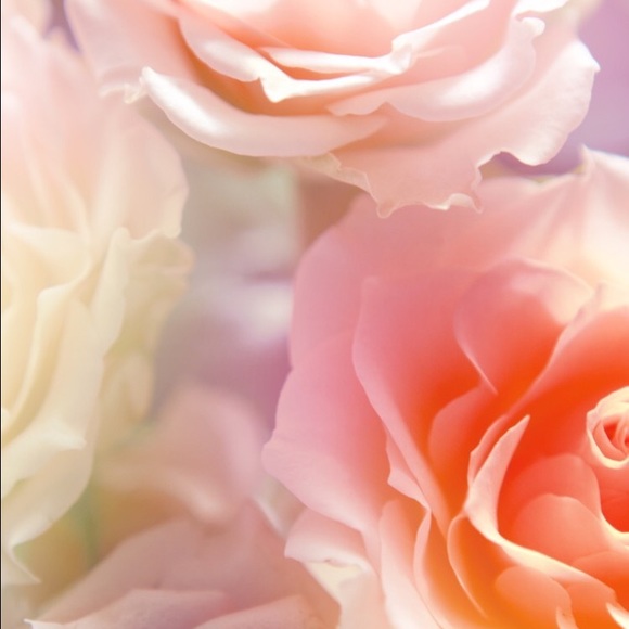 Meet your Posher, Rylee - Picture 1 of 1