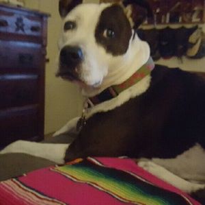 Meet your Posher, Johanna