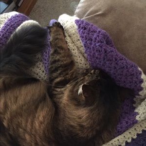 Meet your Posher, Terese