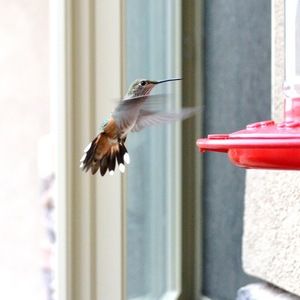 Meet your Posher, Student kaili