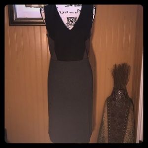 Ann Taylor Loft Business Dress size 8