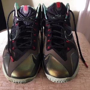 Lebron 11 "King's Pride"