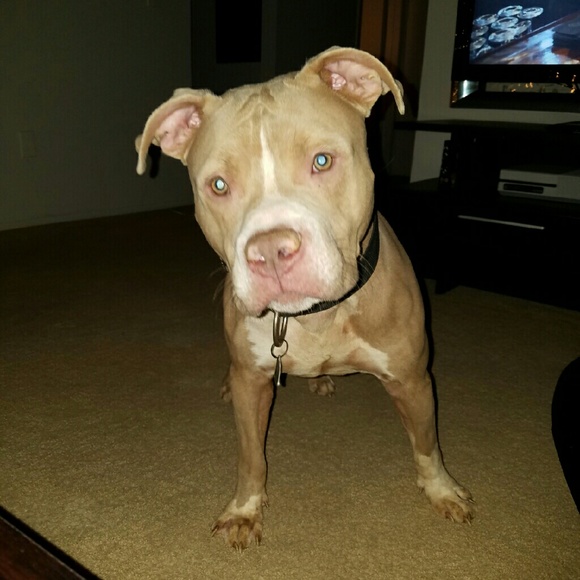 Meet your Posher! - Picture 3 of 8