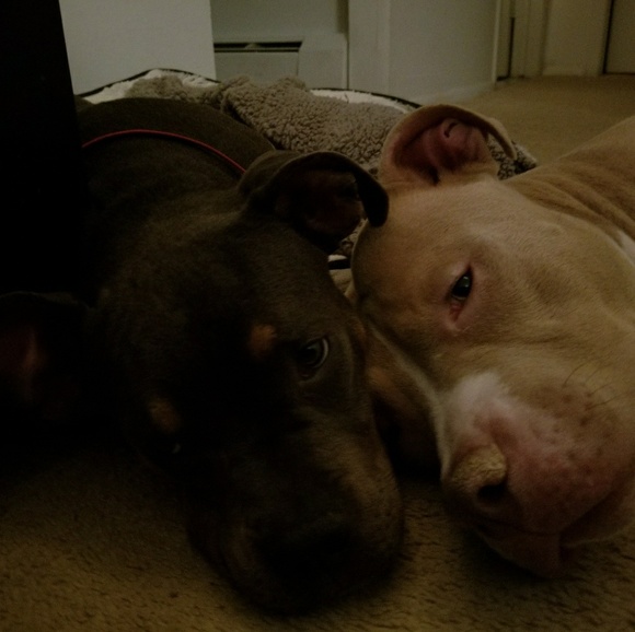 Meet your Posher! - Picture 6 of 8