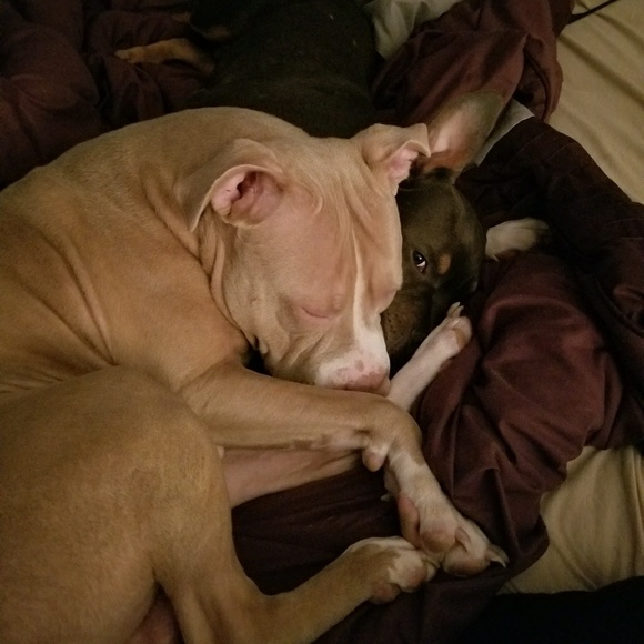 Meet your Posher! - Picture 7 of 8