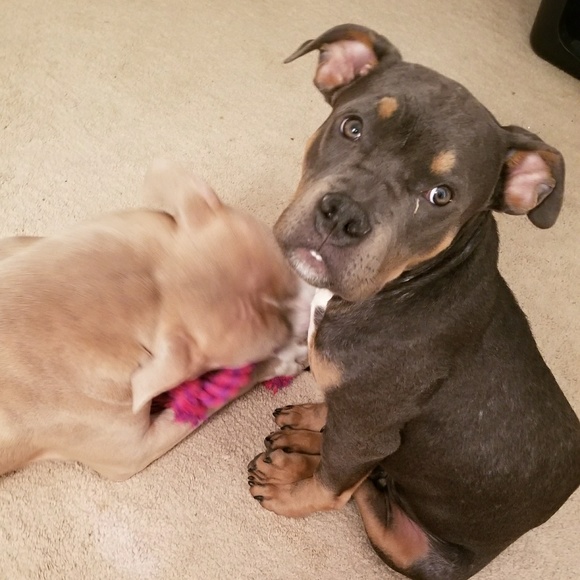 Meet your Posher! - Picture 8 of 8