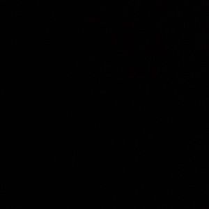 Meet your Posher, Abigail