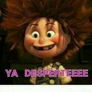 Meet your Posher, Flor