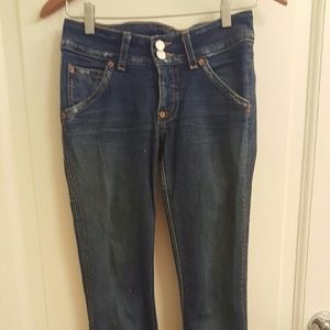 Hudson Flared Leg Heans