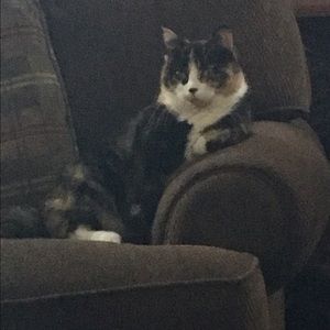 Meet your Posher, Beverly