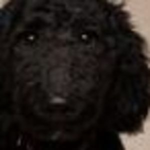 Meet your Posher, Fran