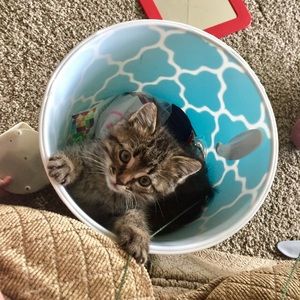 Meet your Posher, Logan