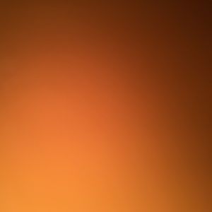 Meet your Posher, Maddie